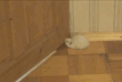 哎秒终于钻过去了 哎秒终于钻过去了