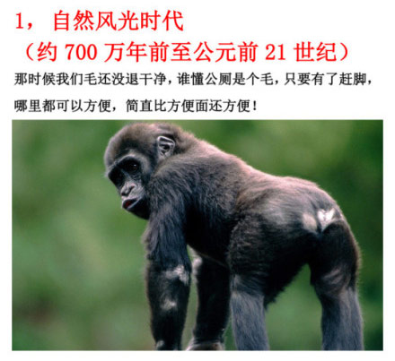 公共厕所进化史,上厕所找肯德基啊！