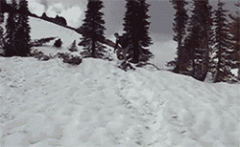 感谢你的救命之恩呀 感谢你的救命之恩呀