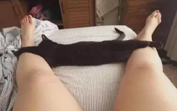 “第一眼以为这是条裤子!哈哈哈看错的自觉去面壁…” “第一眼以为这是条裤子!哈哈哈看错的自觉去面壁…”