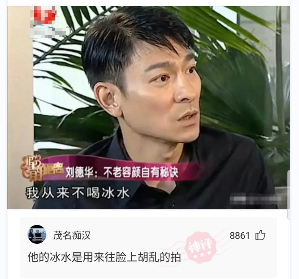 神回复:这蘑菇闻着好香啊,能吃吗?打120的速度都没你开席快 神回复:这蘑菇闻着好香啊,能吃吗?打120的速度都没你开席快