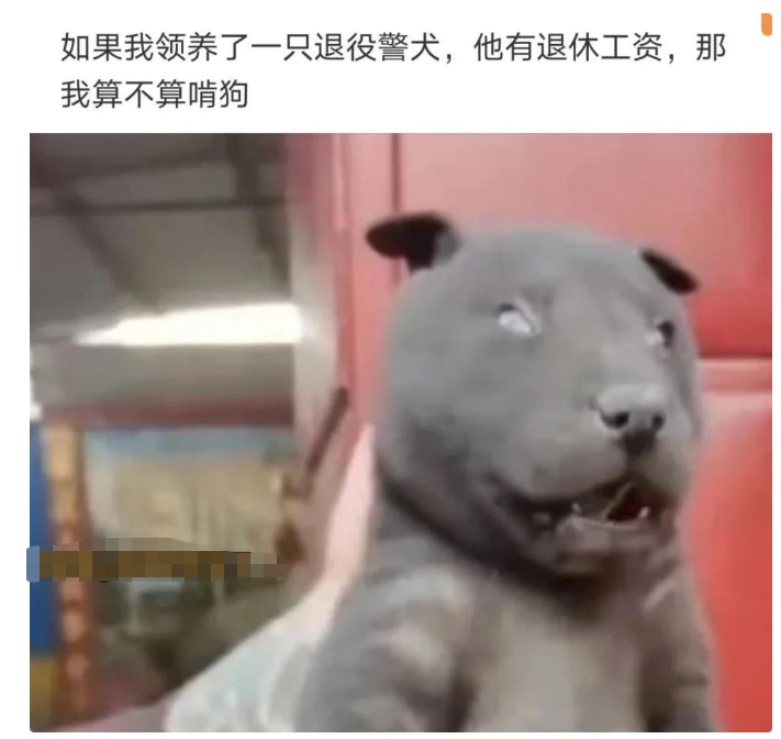 神回复:这蘑菇闻着好香啊,能吃吗?打120的速度都没你开席快 神回复:这蘑菇闻着好香啊,能吃吗?打120的速度都没你开席快