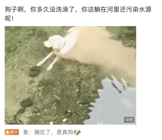 搞笑合集：郑女士摘掉口罩我也支持她，因为她的道理比较大