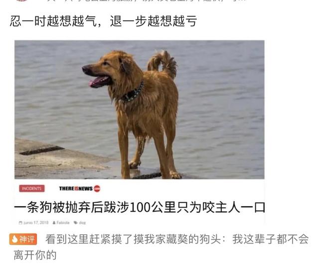 搞笑合集：郑女士摘掉口罩我也支持她，因为她的道理比较大