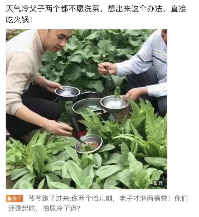 搞笑合集：郑女士摘掉口罩我也支持她，因为她的道理比较大