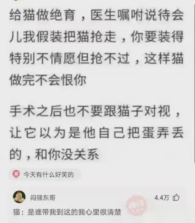 搞笑合集：郑女士摘掉口罩我也支持她，因为她的道理比较大