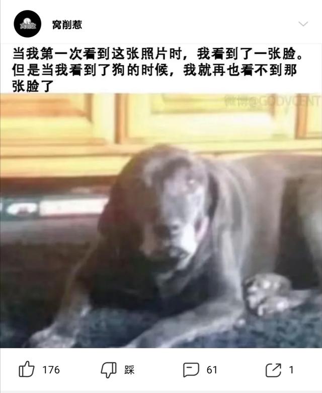 神回复:这些沙雕新闻居然都是真的 神回复:这些沙雕新闻居然都是真的