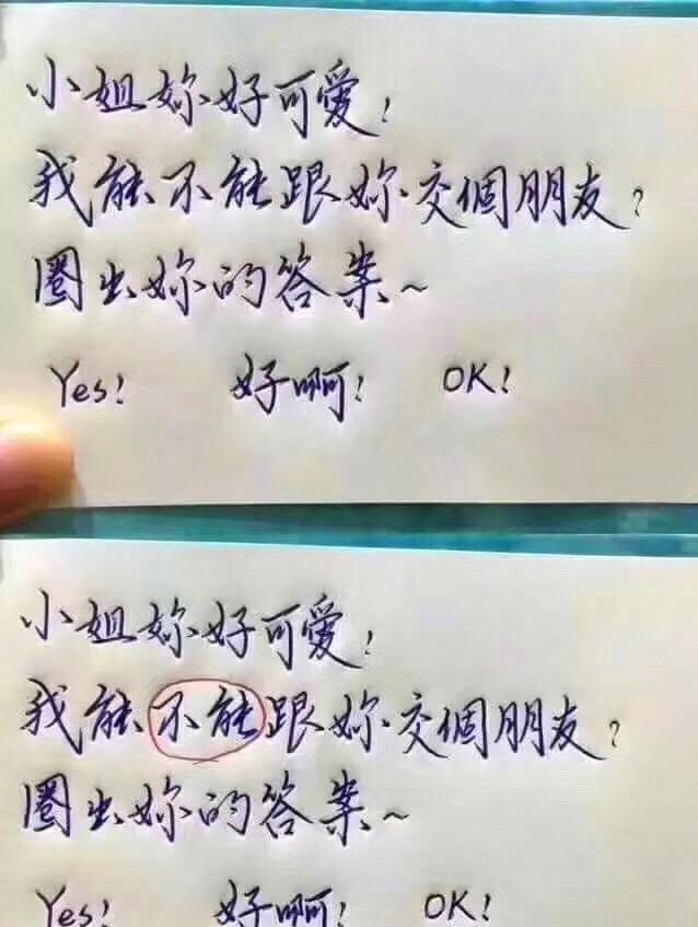 每日一笑:一看就是从小带大的猫,连看电视的姿势都一样 每日一笑:一看就是从小带大的猫,连看电视的姿势都一样