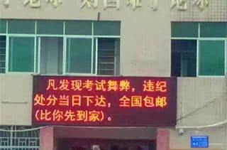 每日一笑:一看就是从小带大的猫,连看电视的姿势都一样 每日一笑:一看就是从小带大的猫,连看电视的姿势都一样