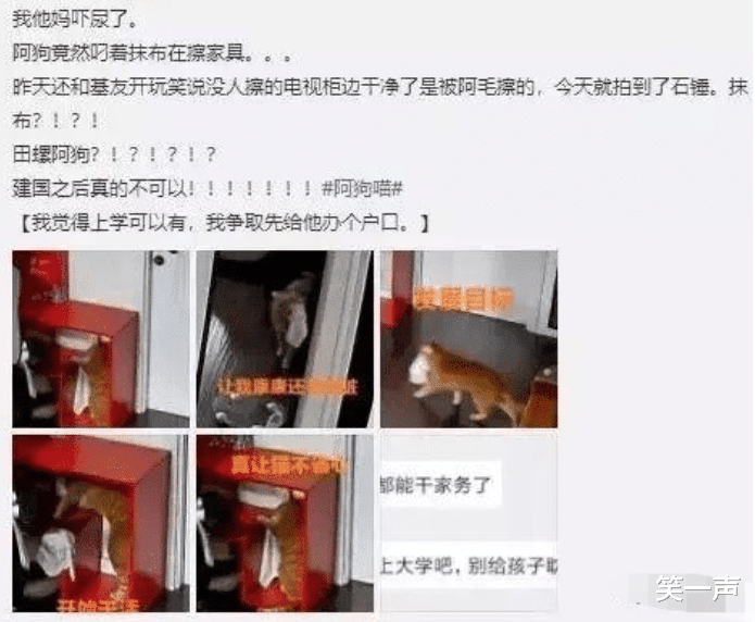 “早上在公园里发现的,昨晚是不是发生过激烈战斗啊?”哈哈哈! “早上在公园里发现的,昨晚是不是发生过激烈战斗啊?”哈哈哈!