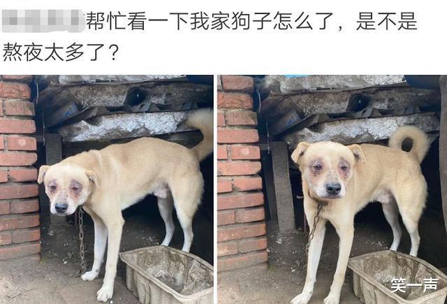 “早上在公园里发现的,昨晚是不是发生过激烈战斗啊?”哈哈哈! “早上在公园里发现的,昨晚是不是发生过激烈战斗啊?”哈哈哈!