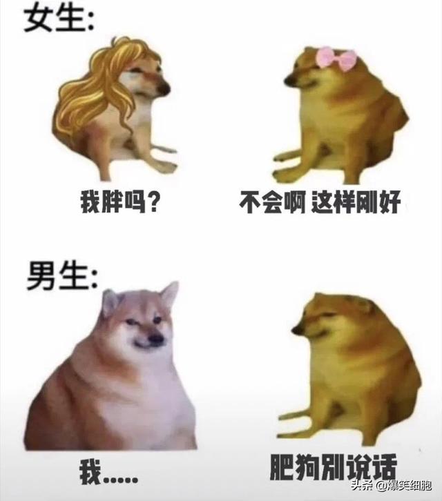 爆笑图片集锦:旁边的小姐姐突然把头靠在我的肩膀上,我该怎么办 爆笑图片集锦:旁边的小姐姐突然把头靠在我的肩膀上,我该怎么办