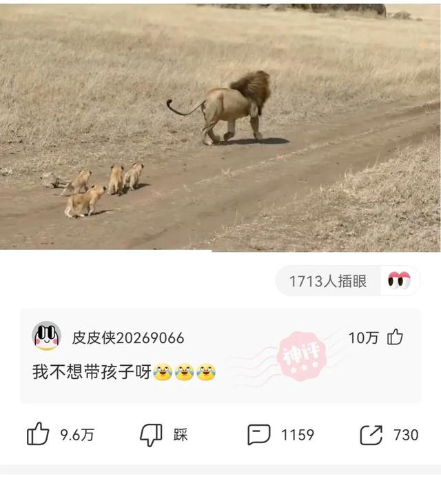 神回复:我堂堂一个皇帝在寝宫里装个空调,怎么了? 神回复:我堂堂一个皇帝在寝宫里装个空调,怎么了?