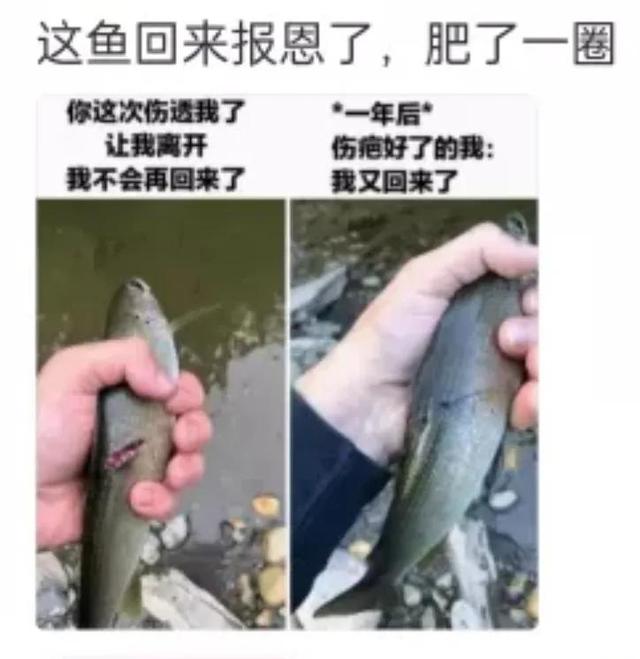 神回复:我堂堂一个皇帝在寝宫里装个空调,怎么了? 神回复:我堂堂一个皇帝在寝宫里装个空调,怎么了?