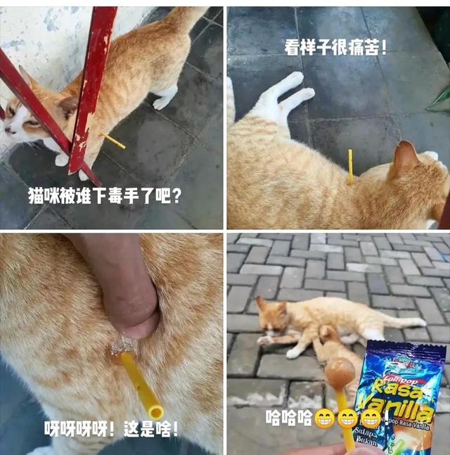 神回复:我堂堂一个皇帝在寝宫里装个空调,怎么了? 神回复:我堂堂一个皇帝在寝宫里装个空调,怎么了?