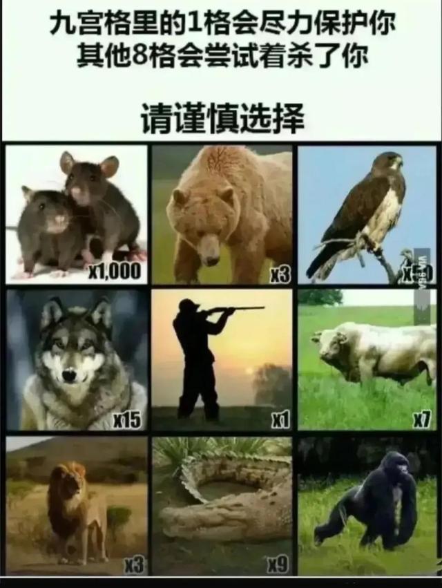 神回复,你喜欢的女孩子被糟蹋了,你会怎么办?网友思路不一般 神回复,你喜欢的女孩子被糟蹋了,你会怎么办?网友思路不一般