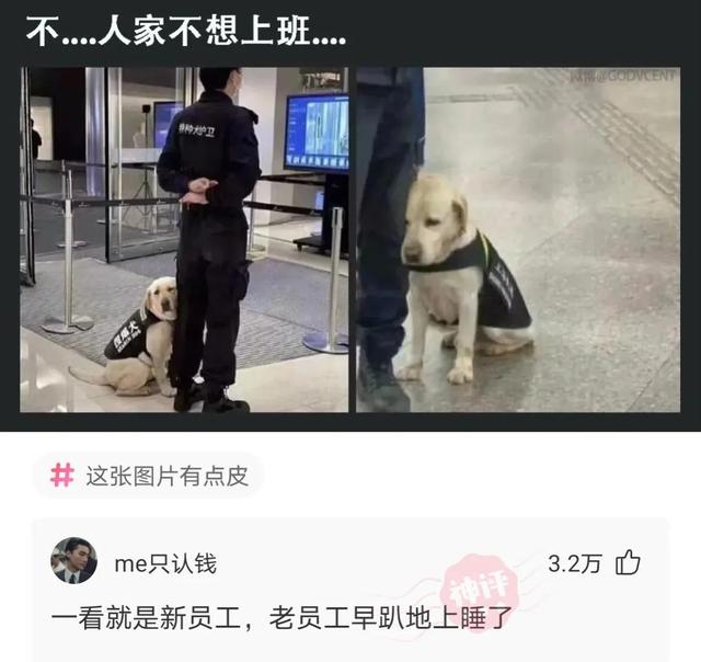 神回复,你喜欢的女孩子被糟蹋了,你会怎么办?网友思路不一般 神回复,你喜欢的女孩子被糟蹋了,你会怎么办?网友思路不一般