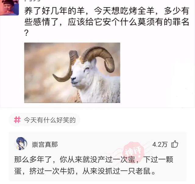 神回复,你喜欢的女孩子被糟蹋了,你会怎么办?网友思路不一般 神回复,你喜欢的女孩子被糟蹋了,你会怎么办?网友思路不一般