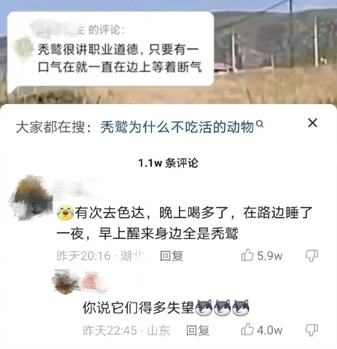 【每日十图】妹子的抹胸都什么原理？居然不会掉！