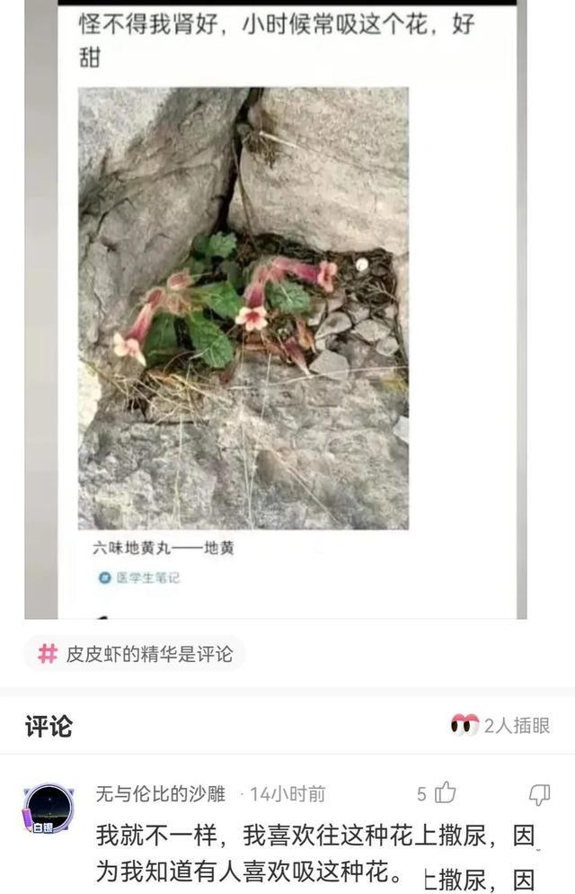 「盐选神回复」这个就是成年人之间面子的事了吧 「盐选神回复」这个就是成年人之间面子的事了吧