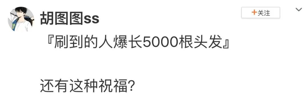 轻松一刻：大家帮忙看看这猪脚饭正经吗？咋这么贵！