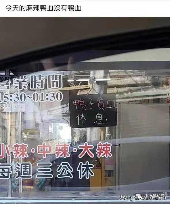 网友不小心把假发染成大葱别说,还挺潮 网友不小心把假发染成大葱别说,还挺潮