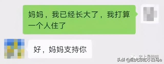 网友不小心把假发染成大葱别说，还挺潮