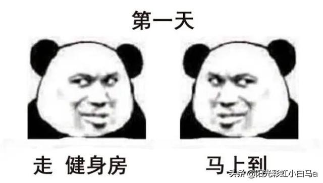 网友不小心把假发染成大葱别说,还挺潮 网友不小心把假发染成大葱别说,还挺潮