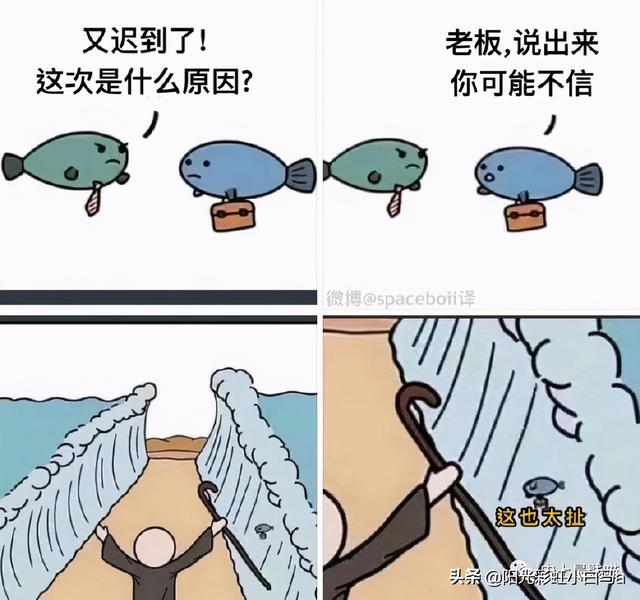 网友不小心把假发染成大葱别说,还挺潮 网友不小心把假发染成大葱别说,还挺潮