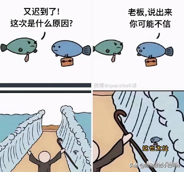 网友不小心把假发染成大葱别说，还挺潮