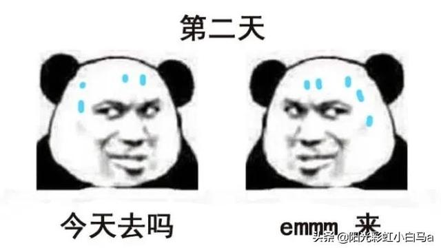 网友不小心把假发染成大葱别说,还挺潮 网友不小心把假发染成大葱别说,还挺潮