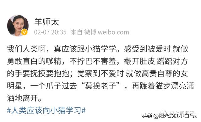 网友不小心把假发染成大葱别说,还挺潮 网友不小心把假发染成大葱别说,还挺潮