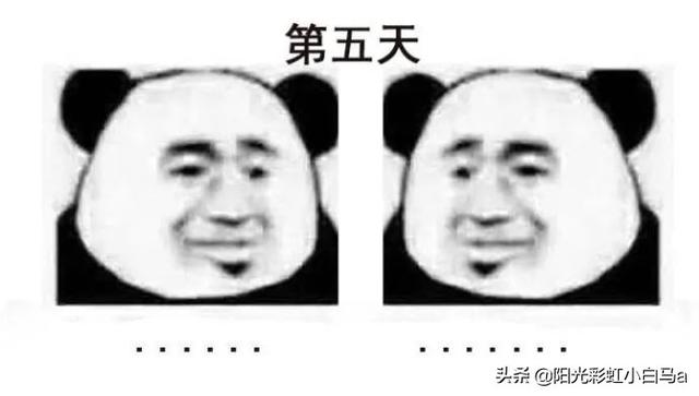 网友不小心把假发染成大葱别说,还挺潮 网友不小心把假发染成大葱别说,还挺潮