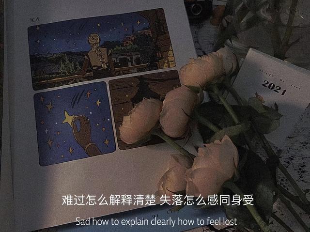 请不要假装努力，结果不会陪你演戏