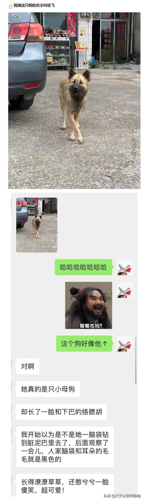 神回复：小姐姐下手轻点，打进去的疫苗又挤出来了！妈呀要被笑死