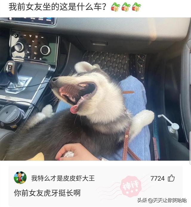 神回复：小姐姐下手轻点，打进去的疫苗又挤出来了！妈呀要被笑死