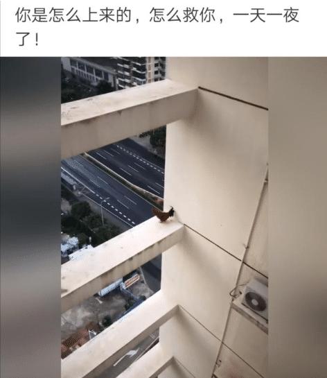“老婆坐老板的车出差,这墨镜感觉有点不太对劲...”哈哈哈哈兄弟稳住啊! “老婆坐老板的车出差,这墨镜感觉有点不太对劲...”哈哈哈哈兄弟稳住啊!