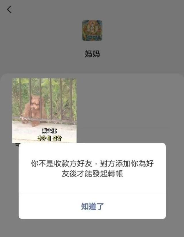 “和妈妈不太熟是什么体验??”哈哈哈哈有母爱但不多 “和妈妈不太熟是什么体验??”哈哈哈哈有母爱但不多