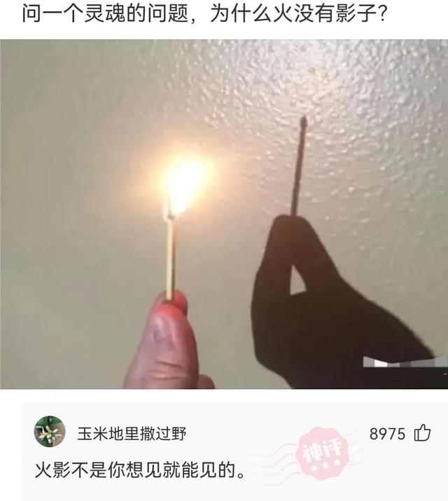 神回复：假如你死了，阎王爷让你在下图选一个投胎，你会选哪个？