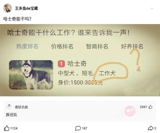 神回复:如果花500万能让你拥有一项特殊技能,你会选择什么? 神回复:如果花500万能让你拥有一项特殊技能,你会选择什么?