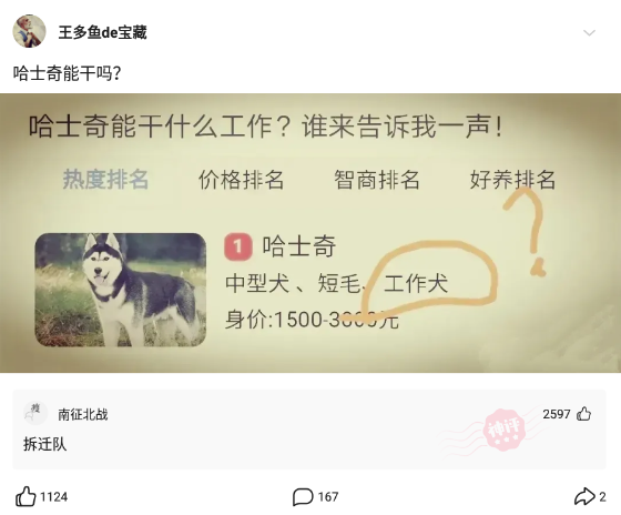 神回复：如果花500万能让你拥有一项特殊技能，你会选择什么？