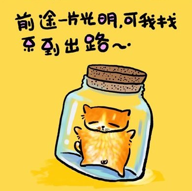 幽默漫画图片 猫咪的人生歪理之三,值得一看哦