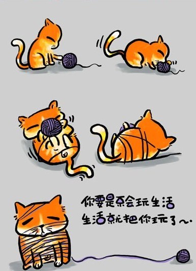 幽默漫画图片 猫咪的人生歪理之三,值得一看哦