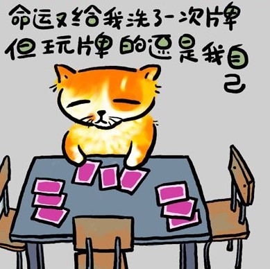 幽默漫画图片 猫咪的人生歪理之三,值得一看哦