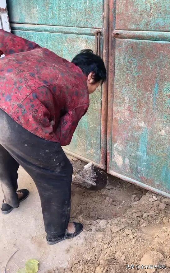 奶奶忘记带钥匙了 奶奶忘记带钥匙了