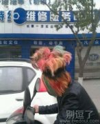 为何你要头顶五彩公鸡