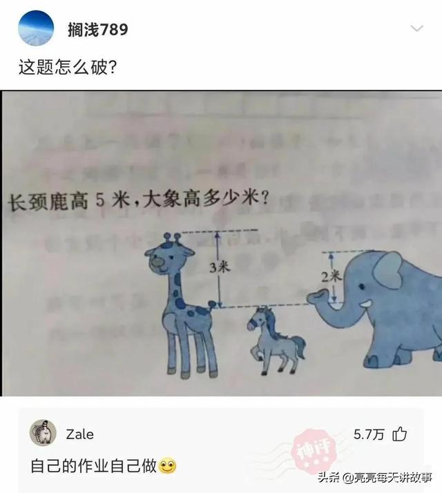 爆笑神评:相貌平平985女学霸,颜值出众女学渣,你喜欢哪个? 爆笑神评:相貌平平985女学霸,颜值出众女学渣,你喜欢哪个?