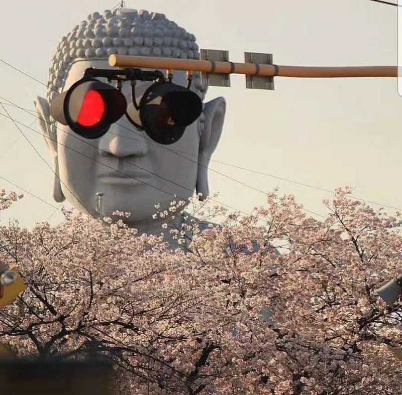 头一次座卧铺,你们那卧铺也是这样么?一铺四个人?哈哈足门帘 头一次座卧铺,你们那卧铺也是这样么?一铺四个人?哈哈足门帘