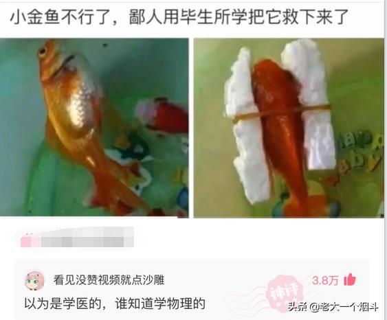 那些能让你笑出猪声的神评 第六十七弹 那些能让你笑出猪声的神评 第六十七弹