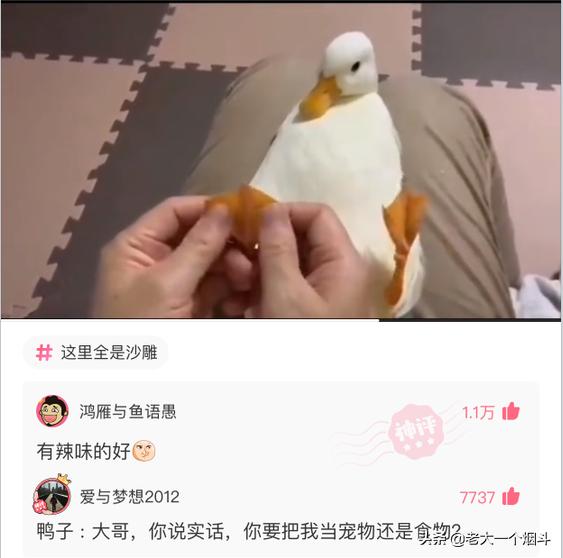 那些能让你笑出猪声的神评 第六十七弹 那些能让你笑出猪声的神评 第六十七弹